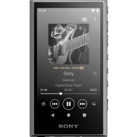 Hi-Fi плеер Sony Walkman NW-A306 (серый)