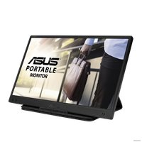 Портативный монитор ASUS ZenScreen MB166B в Пинске