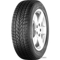 Зимние шины Gislaved Euro*Frost 5 205/55R16 91H
