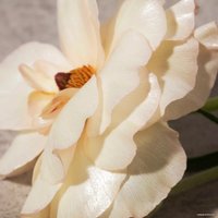 Парфюмерная вода Burberry Her EdP (100 мл)