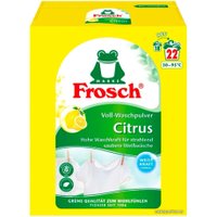 Стиральный порошок Frosch Цитрус 1.45 кг