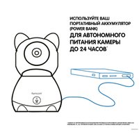 Дополнительная камера Ramicom VRC300C