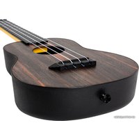 Укулеле Flight TUC-55 Amara в Гомеле