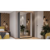 Шкаф-купе Трия Оскар Т2 1200 271153 (ручка серебро/серый графит)