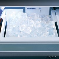 Холодильник Liebherr ECBN 6256