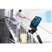 Лазерный нивелир Bosch GLL 3 X Professional [0601063CJ0]