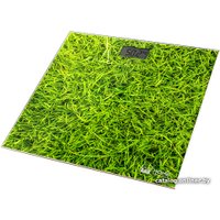 Напольные весы Home Element HE-SC906 (молодая трава)