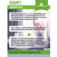 Спальная подушка Smart Textile Золотая пропорция 40x60 E796 (лузга гречихи, голубой)