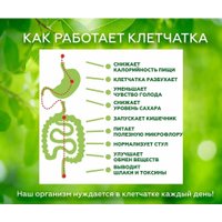 БАД Сибирская клетчатка Очищающая Форте (170 г) в Борисове