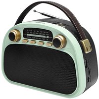 Радиоприемник Ritmix RPR-040 (мятный)