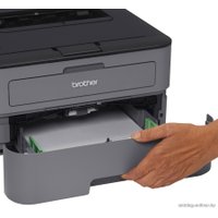 Принтер Brother HL-L2300DR