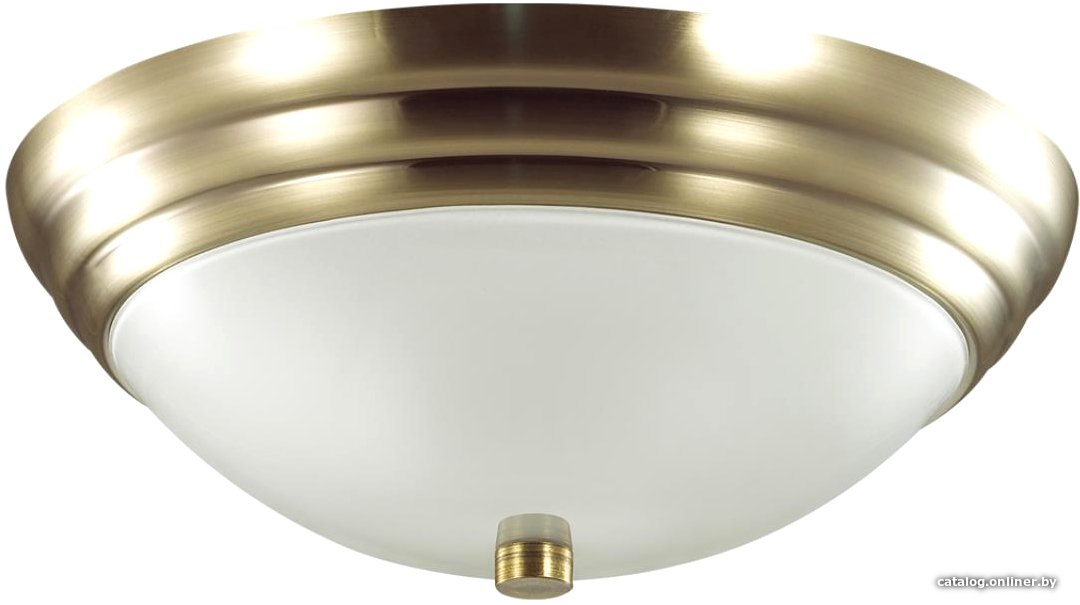 Припотолочная люстра Lumion Kayla 5262/2C