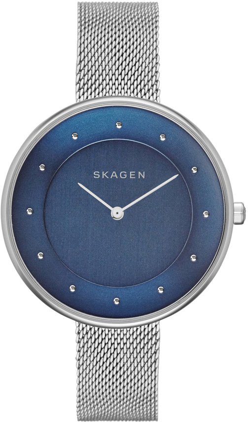 

Наручные часы Skagen SKW2293