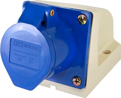 

Розетка TDM SQ0602-0001