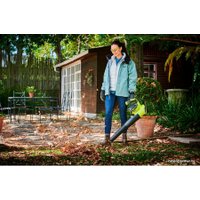 Ручная воздуходувка Ryobi RBL36JB (без АКБ)