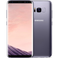 Смартфон Samsung Galaxy S8 64GB (мистический аметист) [G950F]