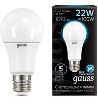 Светодиодная лампочка Gauss LED A70 E27 22 Вт 4100К 102502222 в Витебске