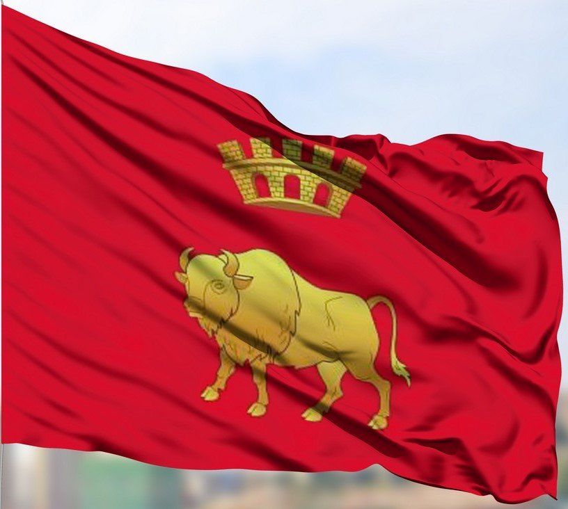 

Флаг МирФлагов Гродненской области уличный под баннерное плечо 50х100 см