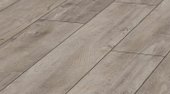 Oriental Oak Grey D4985