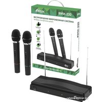 Радиосистема Ritmix RWM-220