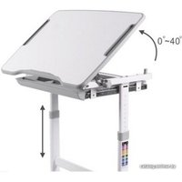 Парта Растущая мебель New Elfin B201S (серый) со стулом и выдвижным ящиком