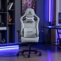 Игровое (геймерское) кресло Evolution Nomad PRO (серый) в Гомеле