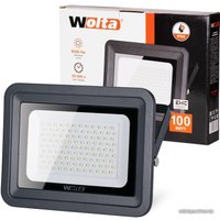 Уличный прожектор Wolta WFL-100W/06