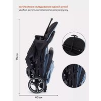 Коляска прогулочная «книга» Rant MOWbaby Smart 2023 MB101 (blue)