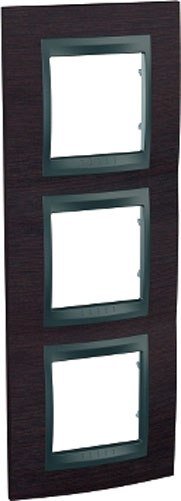 

Рамка Schneider Electric MGU66.006V.2M3