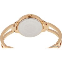 Наручные часы Anne Klein 1440RMRG