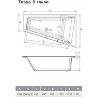 Ванна Vayer Tessa R 170х100