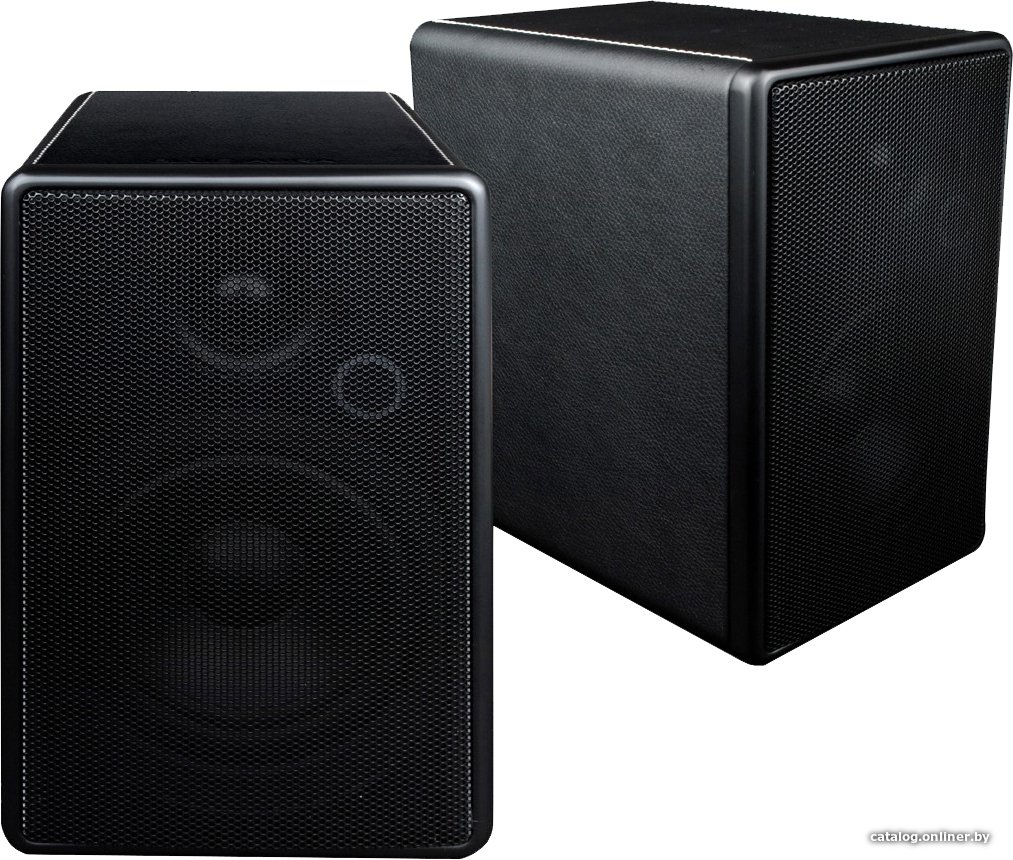 Полочная акустика Blue Aura WS80i (черный)