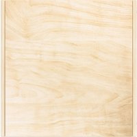 Детский стул ФанДОК Ф-180.04 (лак, фанера) в Борисове