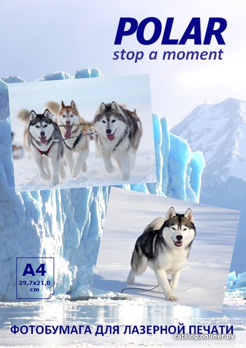 

Фотобумага Polar A4L0M12100 матовая A4, 120 г/м2, 100 л