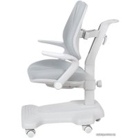 Детское ортопедическое кресло Fun Desk Estate (серый)