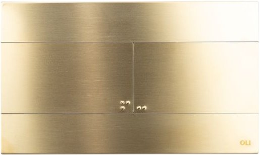 

Панель смыва OLI Slim 888565 INOX (золото)