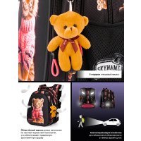 Школьный рюкзак SkyName R1-064 + брелок мишка