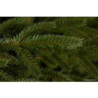 Ель GreenTerra Скандинавская 1.5 м