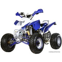 Квадроцикл IRBIS ATV 250S