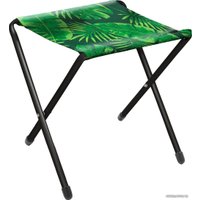 Табурет Nika дачный складной ДС (тропические листьями на темном)