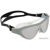 Очки для плавания ARENA The One Mask Mirror 004308 102 (серебристый/черный)