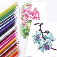 Набор цветных карандашей BRAUBERG Академия 181400 (24 шт.)