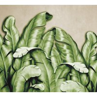 Фотообои Vimala Банановые листья зеленые 270x300