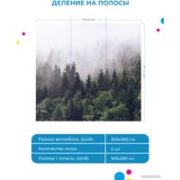 Фотообои ФабрикаФресок Туманный лес 193280 (300x280)