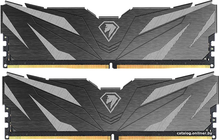 Netac Shadow II 2x16ГБ DDR5 4800 МГц NTSWD5P48DP-32K