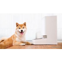 Кормушка электронная Xiaowan Kitten&Puppy Smart Pet Feeder XWPF01MG