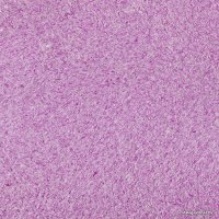 Жидкие обои Silk Plaster Art Design I 271