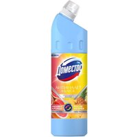 Средство для сантехники Domestos Сила тропиков 750 мл
