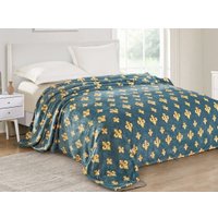 Плед Реноме Элит 1.5сп 181 (фленер)