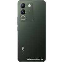 Телефон Vivo V29e 8GB/256GB международная версия (таинственный лес) в Борисове